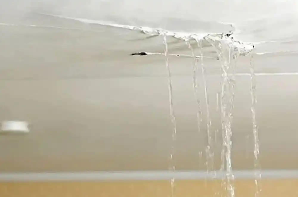 pintores en lanzarote